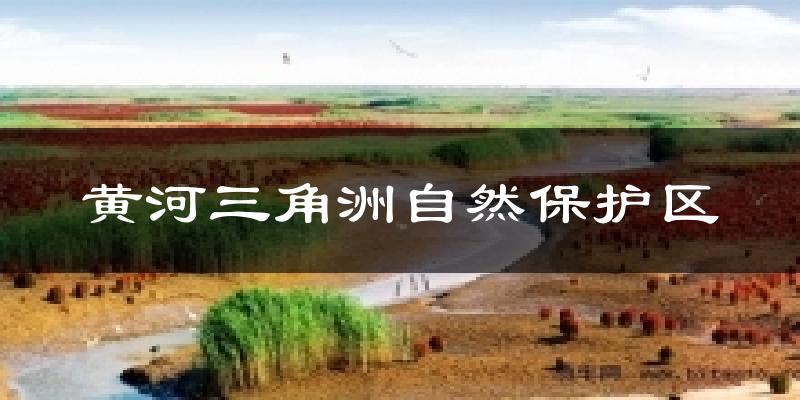 黄河三角洲自然保护区今日天气