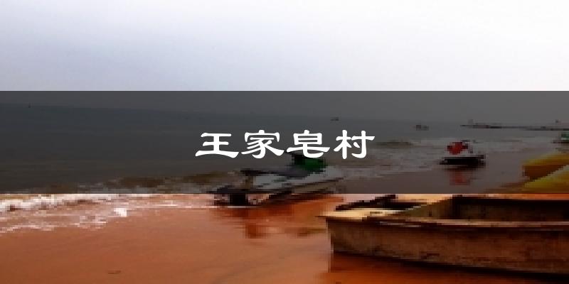 日照王家皂村天气预报未来一周