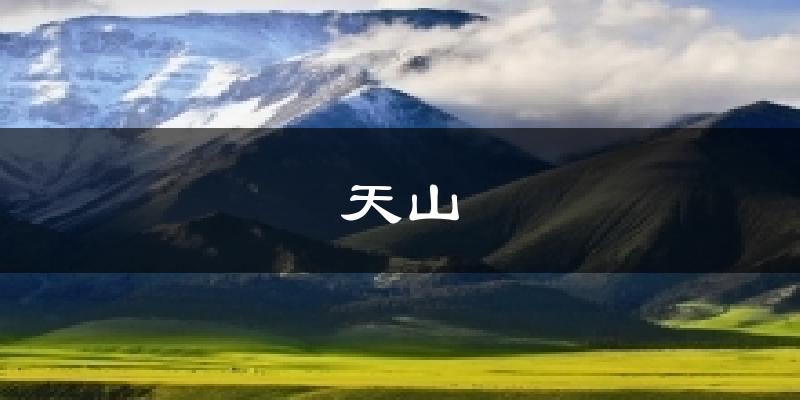 天山天气预报十五天