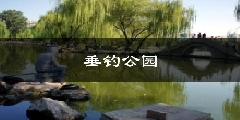 垂钓公园天气预报十五天