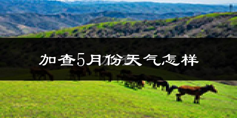 西藏加查县5月份天气如何?很冷吗?历史数据告诉你答案