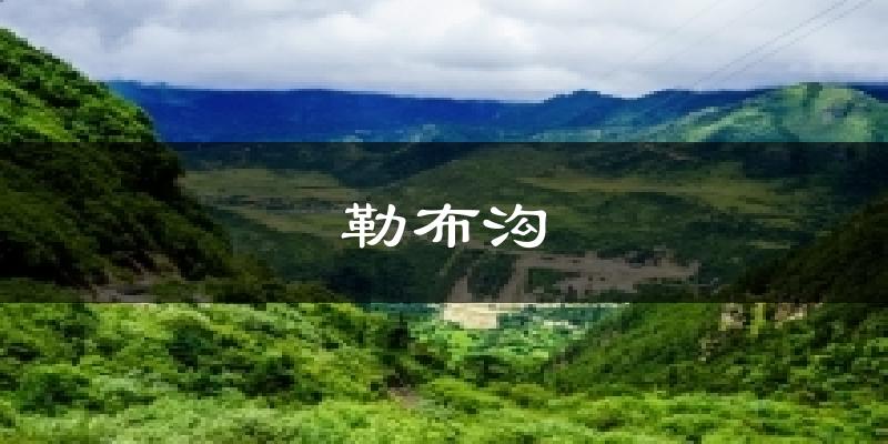勒布沟气温