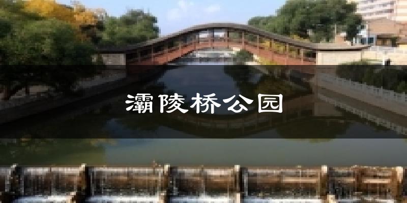 灞陵桥公园气温