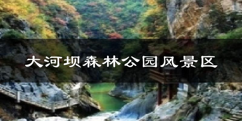 大河坝森林公园风景区天气预报十五天