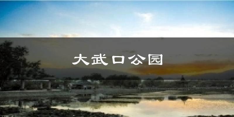 大武口公园今日天气