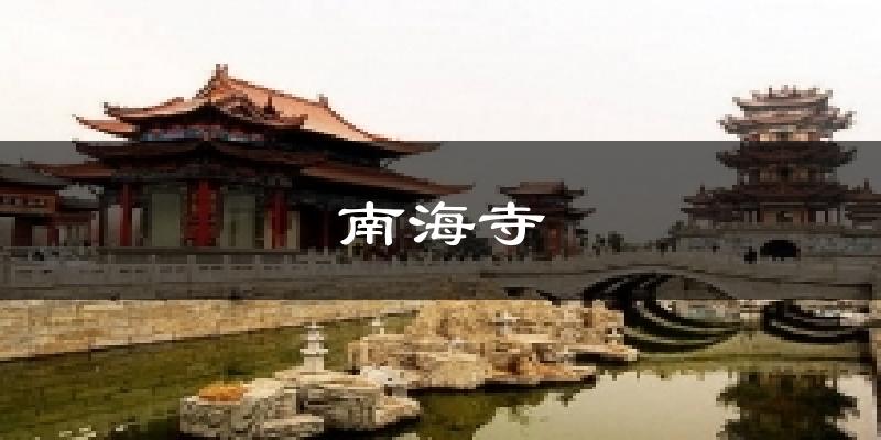 南海寺今日天气
