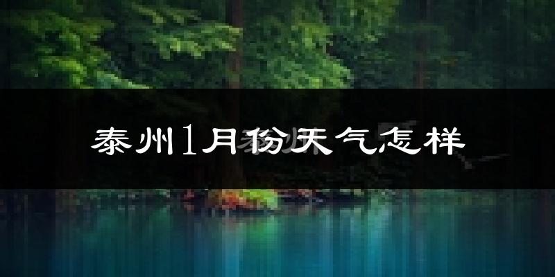 泰州市1月份天气如何?很冷吗?