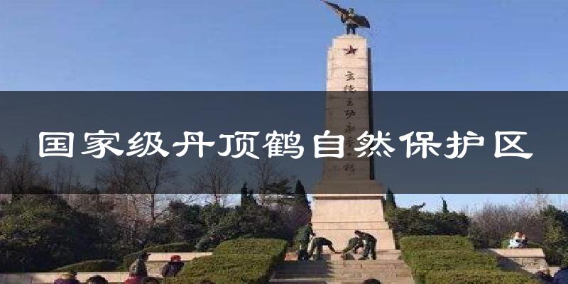 国家级丹顶鹤自然保护区天气预报十五天
