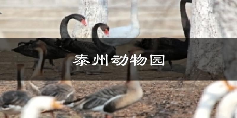 泰州泰州动物园天气预报未来一周