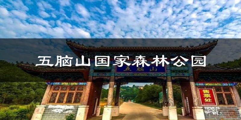麻城五脑山国家森林公园天气预报未来一周