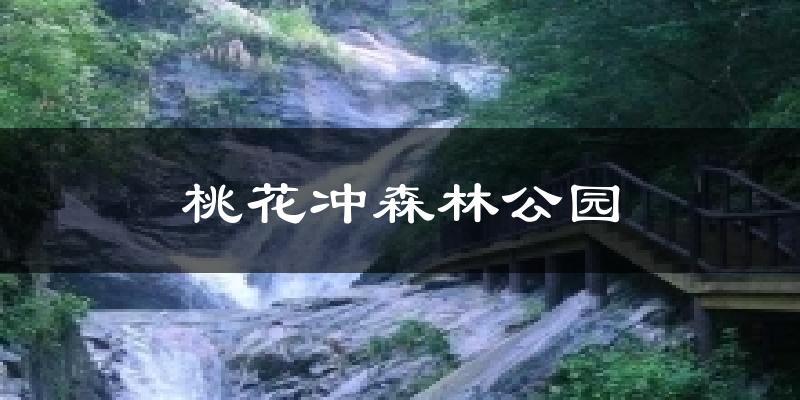 桃花冲森林公园今日天气