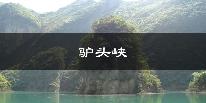 忻州驴头峡天气预报未来一周