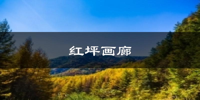 红坪画廊天气预报十五天