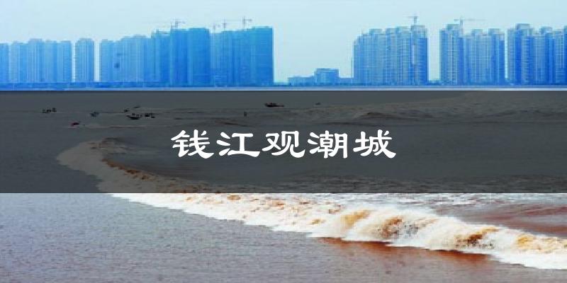 钱江观潮城气温