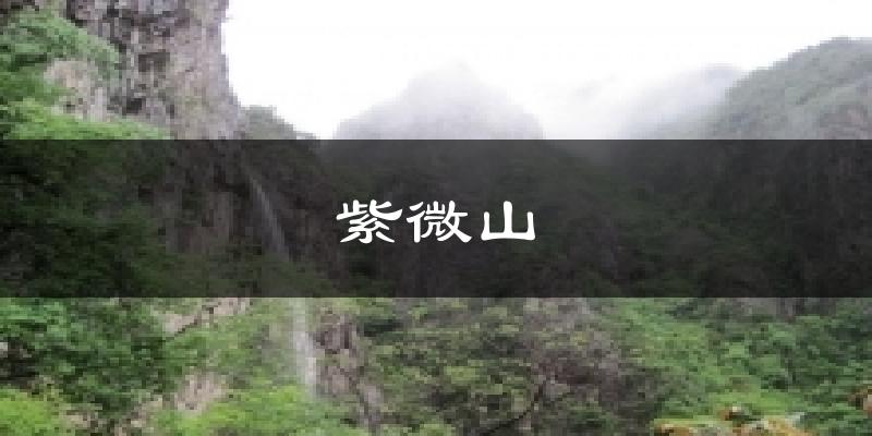 紫微山气温