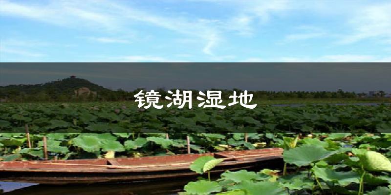 忻州镜湖湿地天气预报未来一周