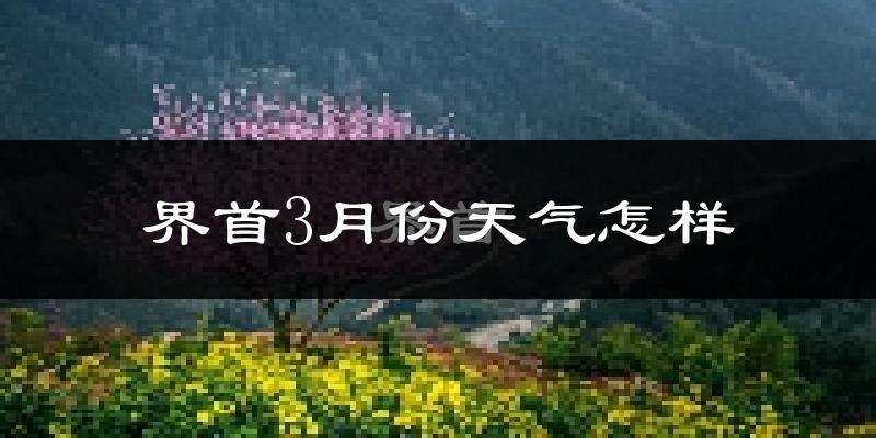 界首市3月份天气如何?冷吗?