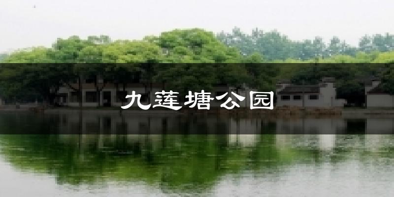 九莲塘公园今日天气