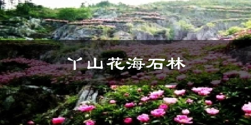 丫山花海石林气温