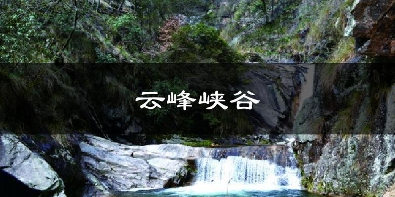 云峰峡谷今日天气