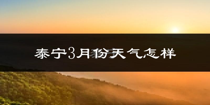 泰宁县3月份天气如何?冷吗?