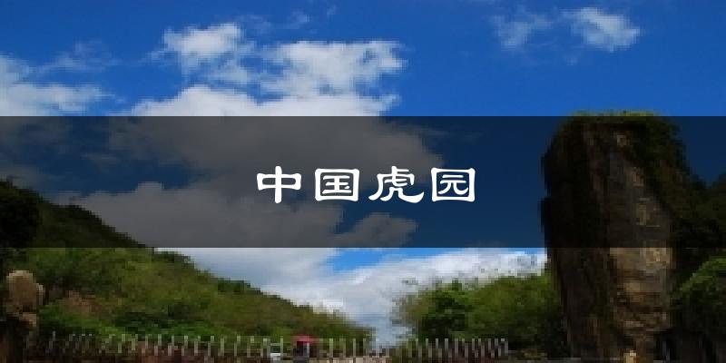 中国虎园气温