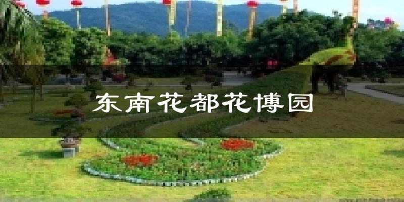 漳浦东南花都花博园天气预报未来一周