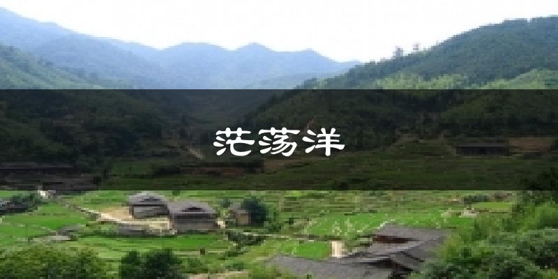 茫荡洋今日天气