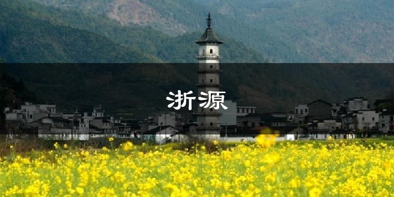 浙源天气预报十五天