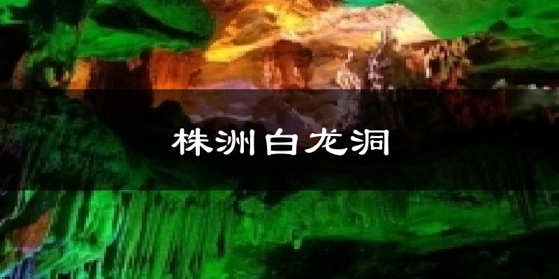 株洲白龙洞气温