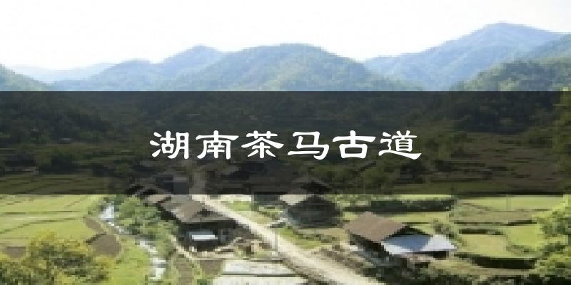 湖南茶马古道天气预报十五天