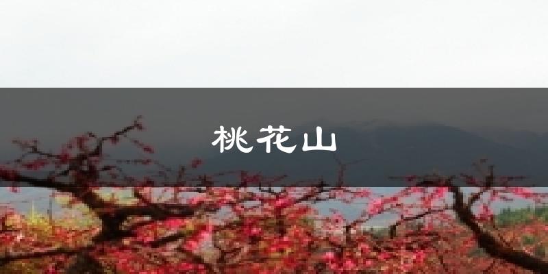 桃花山今日天气