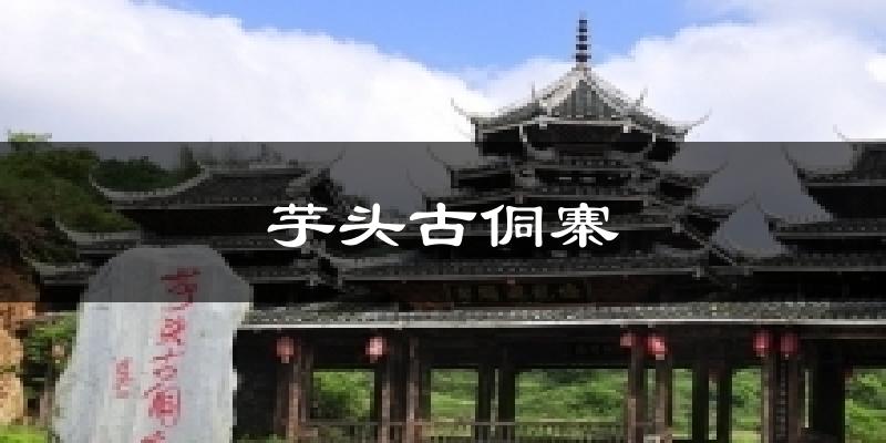 芋头古侗寨今日天气