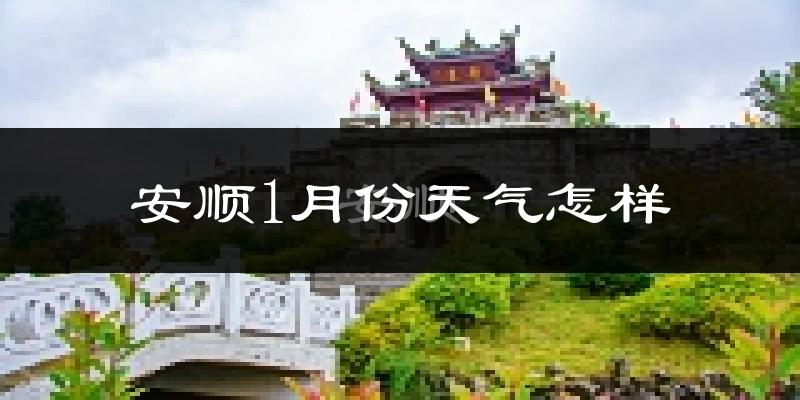 安顺市1月份天气如何?很冷吗?