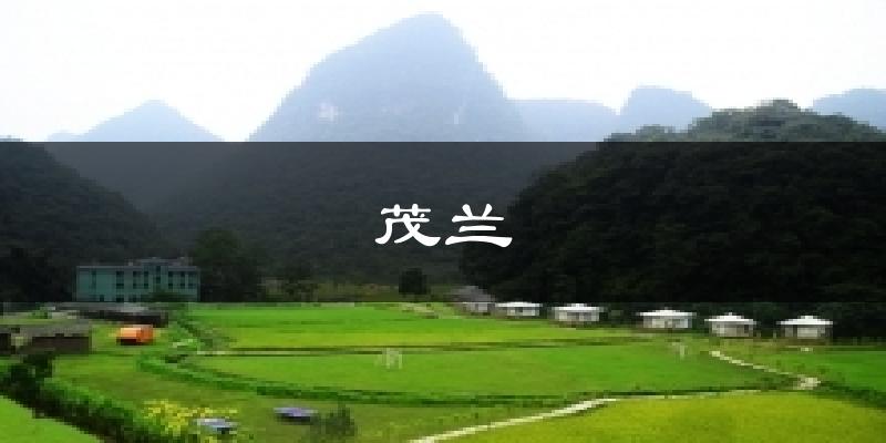 苏州茂兰天气预报未来一周