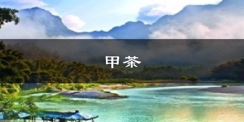 甲茶天气预报十五天