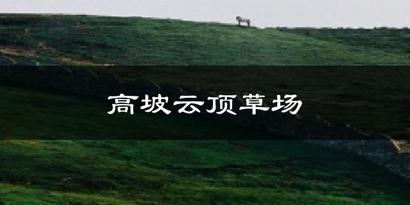 高坡云顶草场今日天气