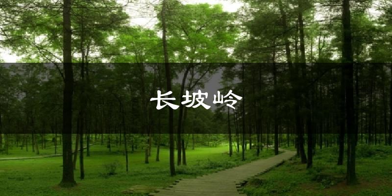 长坡岭今日天气