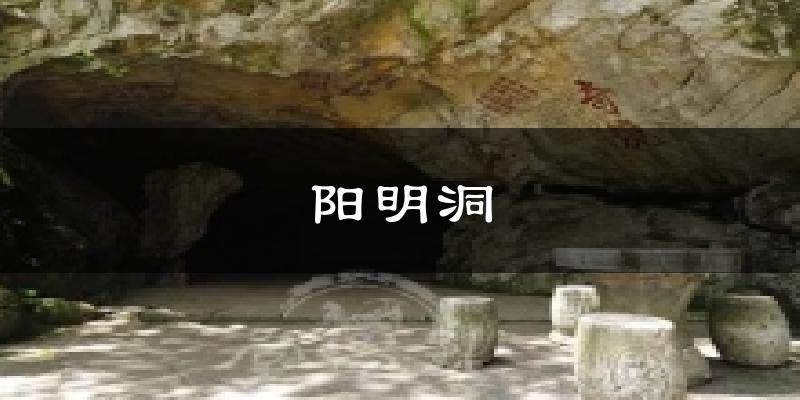 阳明洞今日天气