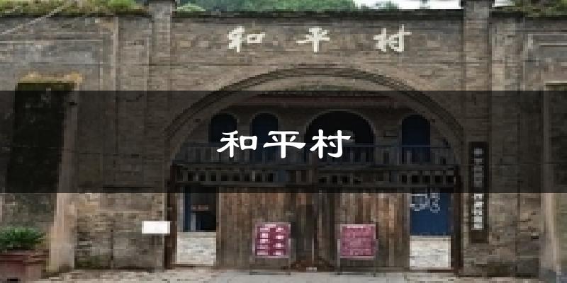 忻州和平村天气预报未来一周