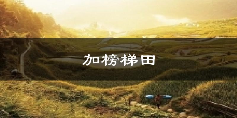 苏州加榜梯田天气预报未来一周