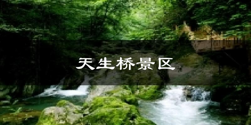 天生桥景区天气预报十五天