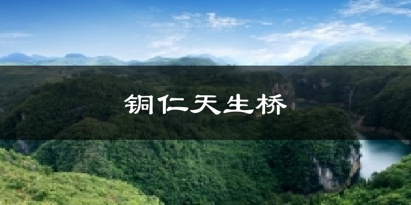 铜仁天生桥天气预报十五天