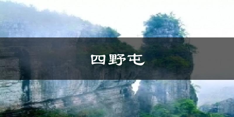 苏州四野屯天气预报未来一周