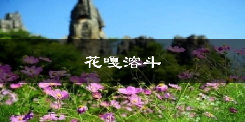 花嘎溶斗天气预报十五天