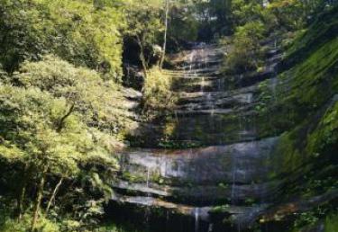 广元元坝天气