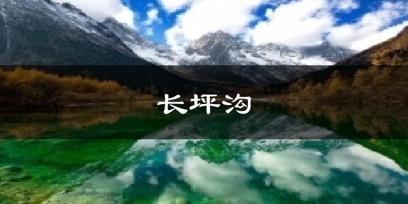长坪沟天气预报十五天