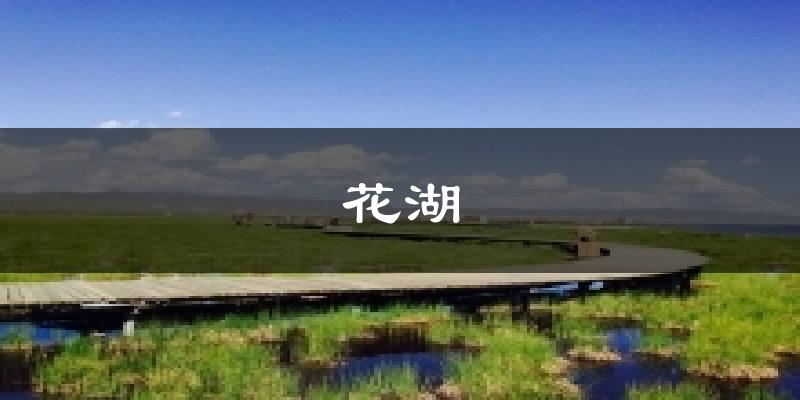 花湖天气预报十五天