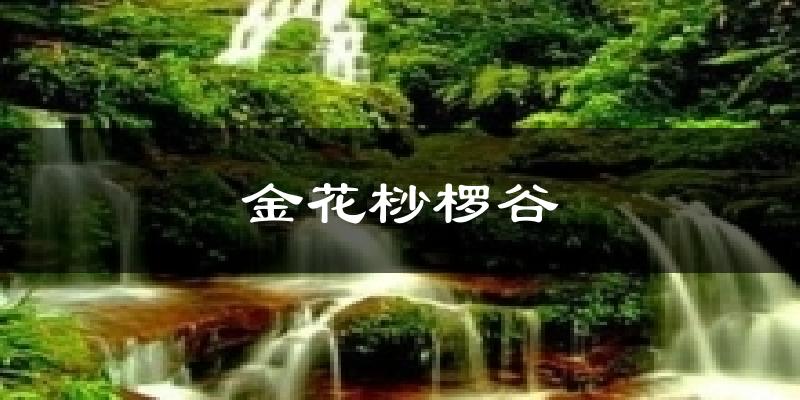 荣县金花桫椤谷天气预报未来一周