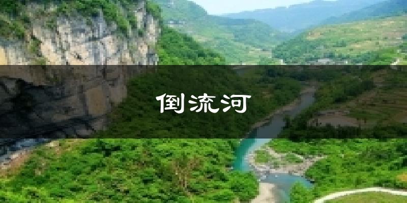 倒流河天气预报十五天